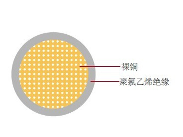 AV汽车用聚氯乙烯绝缘低压电线日标